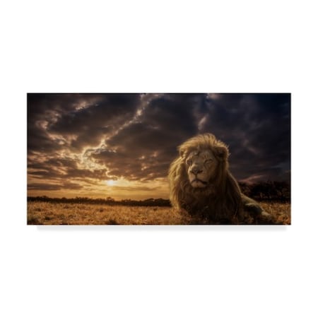 Jackson Carvalho 'The Lion King' Canvas Art,24x47